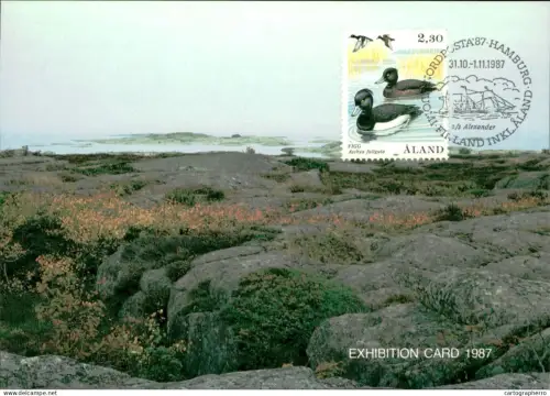 A5927 Åland Aland exhibition maximum card 1987