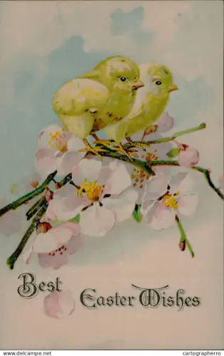 A5926 Best Easter wishes greetings postcard floral illustration with blossoms and drawn chicks