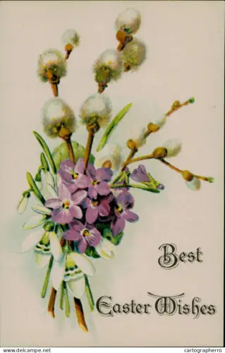 A5926 A Happy Easter greetings postcard floral illustration snowdrops flowers and hazel catkins