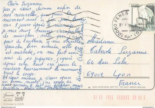 A5397 Alpine flora Edelweiss