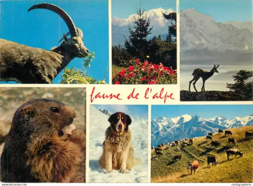 A5396 Animal types Alps wildlife multi view