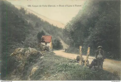 A5854 Gorges de l`Arly route d`Ugine a Flumet