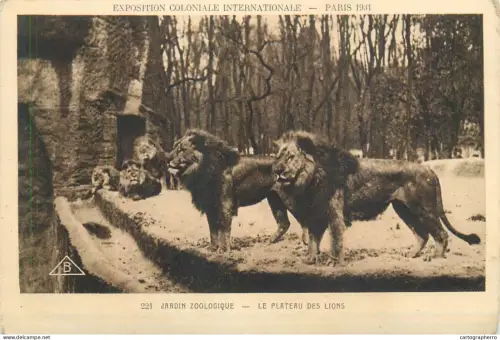 A5854 Paris jardin zoologique plateau des lions exposition coloniale internationale 1931