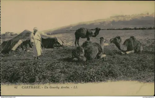 A5925 Tunisia Carthage Gourby Arabe