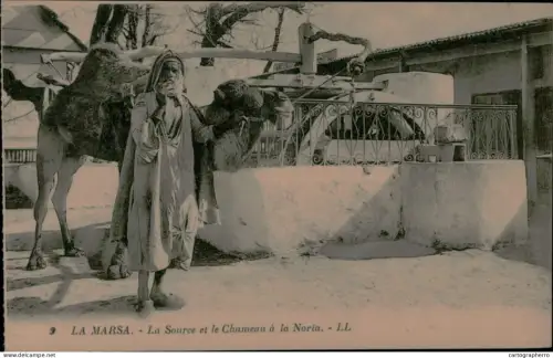 A5925 Tunisia La Marsa chameau noria