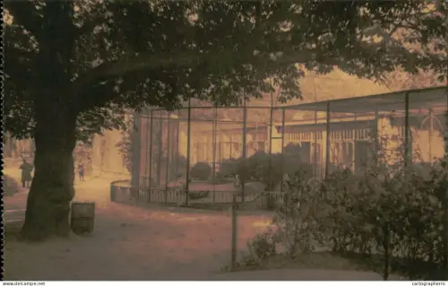 A5925 Antwerpen Dierentuin Anvers Jardin Zoologique voliere des paons