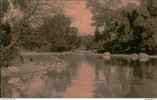 A5925 Antwerpen Dierentuin Anvers Jardin Zoologique grand bassin