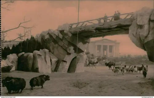 A5925 Antwerpen Dierentuin Anvers Jardin Zoologique pont et parc des ruminants