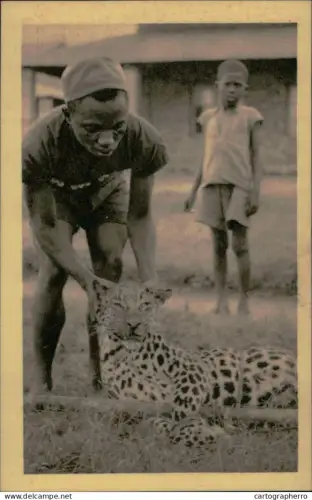 A5925 Belgian Congo leopard inoffensif