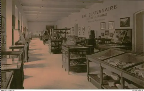 A5925 Musees Royaux du Cinquantenaire Bruxelles galerie des ages de la Pierre et du Bronze