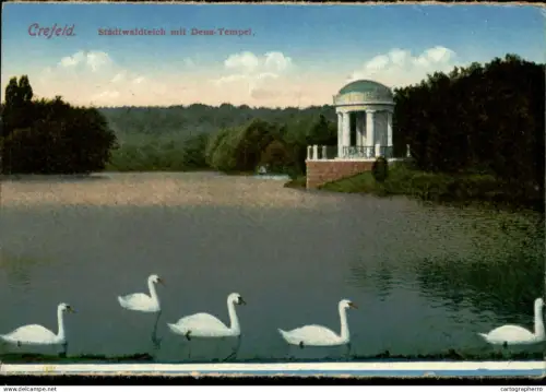 A5925 Germany Krefeld swans cignes