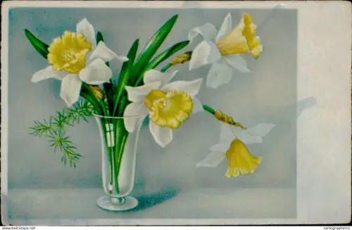 A5936 daffodils vase