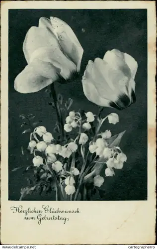 A5936 Birthday greetings flowers Germany ww2