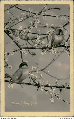 A5936 Pentecost greetings birds oiseaux blossoms Germanu 1939