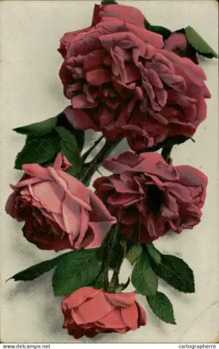 A5936 Postcard roses greetings Feldpost 1917