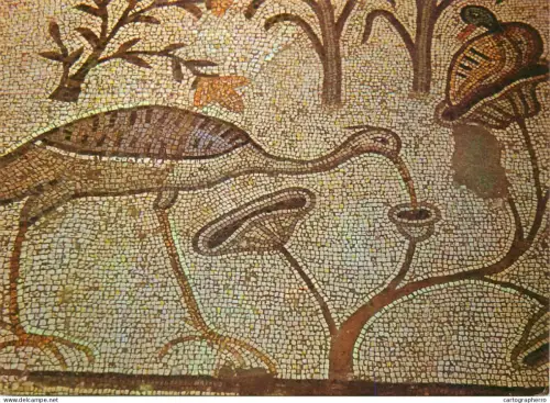 A5408 Religious fine art Israel Tabgha Church of the Multiplication of Loaves and Fishes mosaic detail aspect