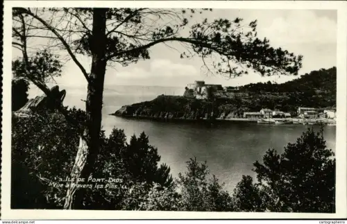 A5938 France Toulon ile de Port Cros vue a travers les pins