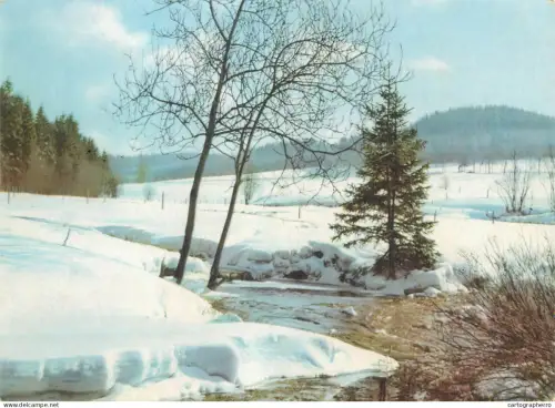 A5442 New Year greetings winter scenery