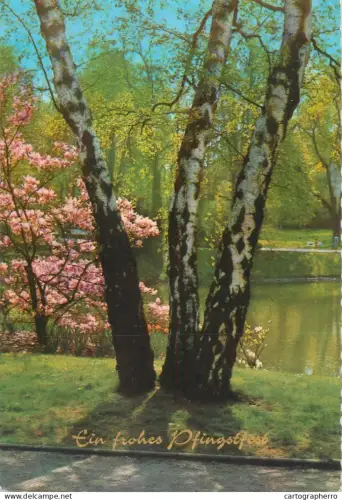 A5442 Easter greetings park lake blossom tree