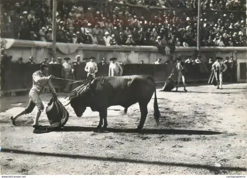 A5486 France Nimes (Gard) Course des taureaux aux arenes romaines La mise a mort