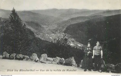 A5945 Panoramic view of the Munster Valley Vosges Mountains, France 1906