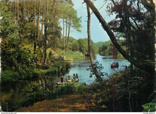 A5483 France Leon (Landes) promenade en barque sur Le Courant d'Huchet