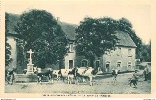 A5985 France Chatel le Couvent (Jura) la sortie du troupeau