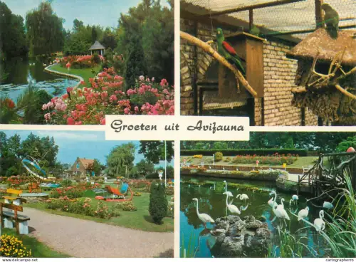 A5480 Netherlands Alphen a.d Rijn Vogelpark Avifauna multi view