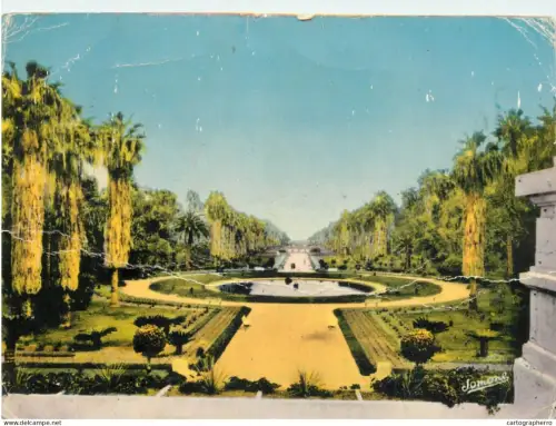 A5468 Algeria Alger El-Djezair Jardin d'Essai