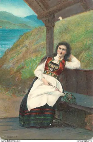 A5964 Norwegian costume from the Hardanger region Scandinavian folk type bunad apron  "ENERET J. F."