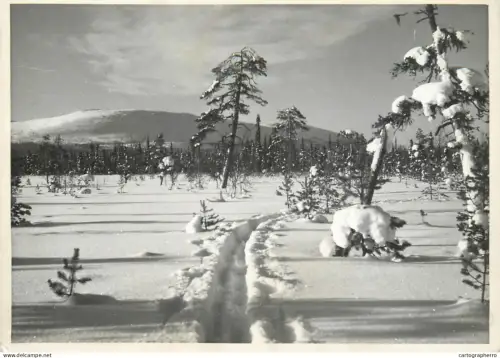 A5491 Finland Lappi Lappland winter scenery
