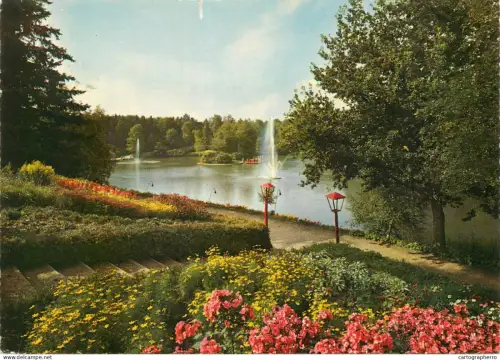 A5488 Netherlands Apeldoorn Vijver Berg en Bos