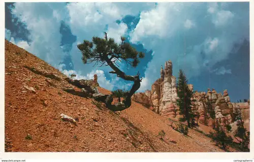 A5970 Utah National Park Bryce Canyon view along Queens Garden Trial