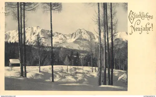 A5967 Neujahr winter landschaft AK