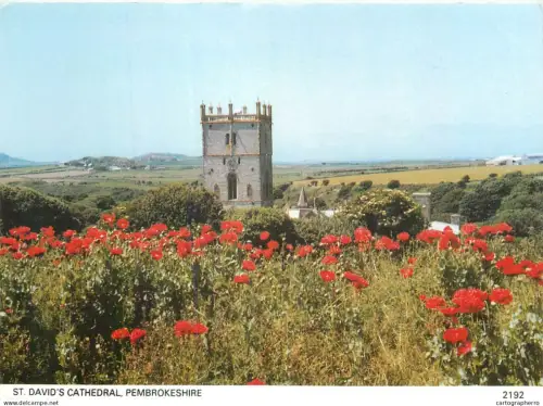 A5512 Wales Pembrokeshire Hotel David