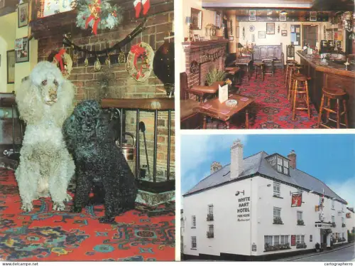 A5512 England Moretonhampstead White Hart Hotel