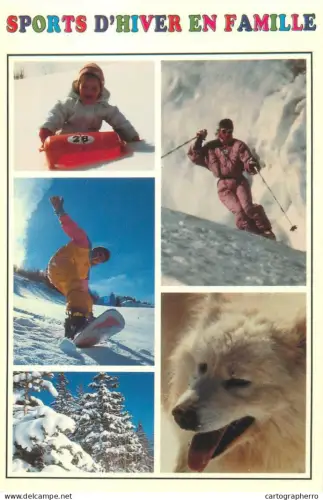 A5509 Winter sports skiing, snowboarding multi view