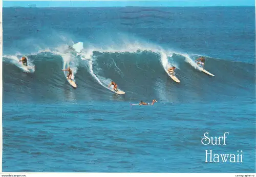 A5509 Surfing in Hawaii