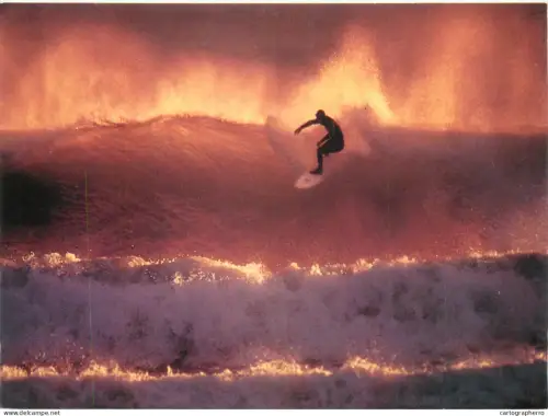 A5509 Patrick Tehan " a surfer takes off" 1996 photo