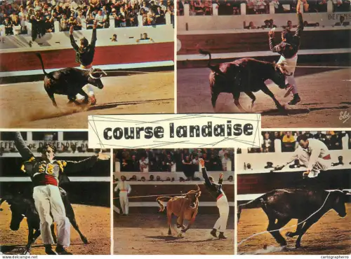 A5509 France Course Landaise multi view bull fights multi view