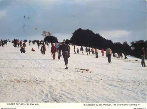 A5509 England Surrey Box Hill winter sports types and scenes