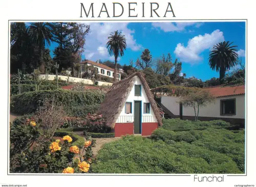 A5497 Portugal Madeira Funchal Botanical Garden