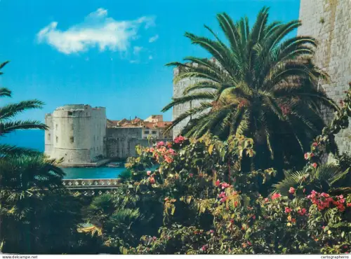 A5542 Croatia Dubrovnik