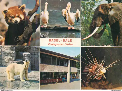 A5539 Switzerland Basel Zoologischer Garten multi view