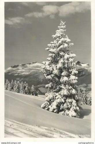 A6017 Photographic postcard winter Landschaft