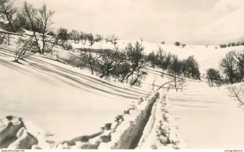 A5976 Sweden winter landscape photographic postcard 1966