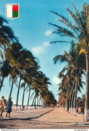 A5570 Malgasy Republic / Madagascar seaside palm trees promenade