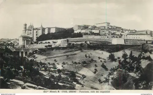 A5976 Urbino