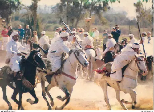 A5570 Typical Morocco Fantasia