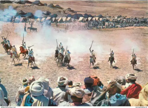 A5570 Typical Morocco Fantasia dans le Moyen Atlas